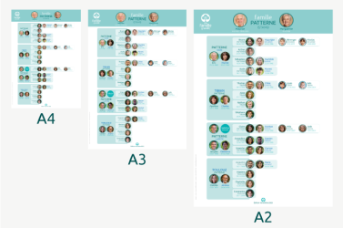 fiche - affiche - poster