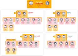 jeu horizontal, cartons-familles découpés