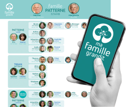 arbre et appli mobile